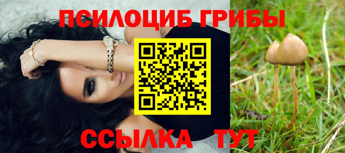 Галлюциногенные грибы Psilocybine cubensis Жуковский