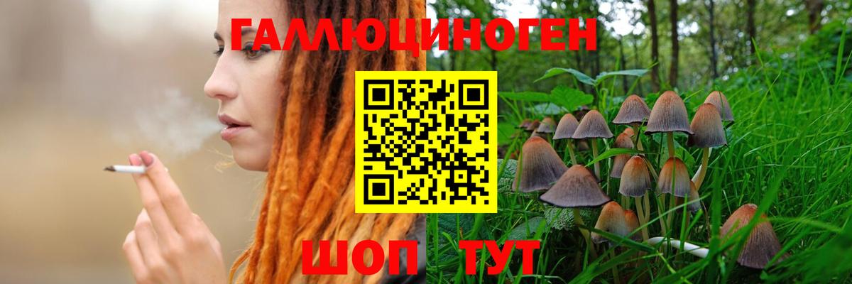 наркота  Вход с VPN  Жуковский  Псилоцибиновые грибы Magic Shrooms  Псилоцибиновые грибы мицелий 